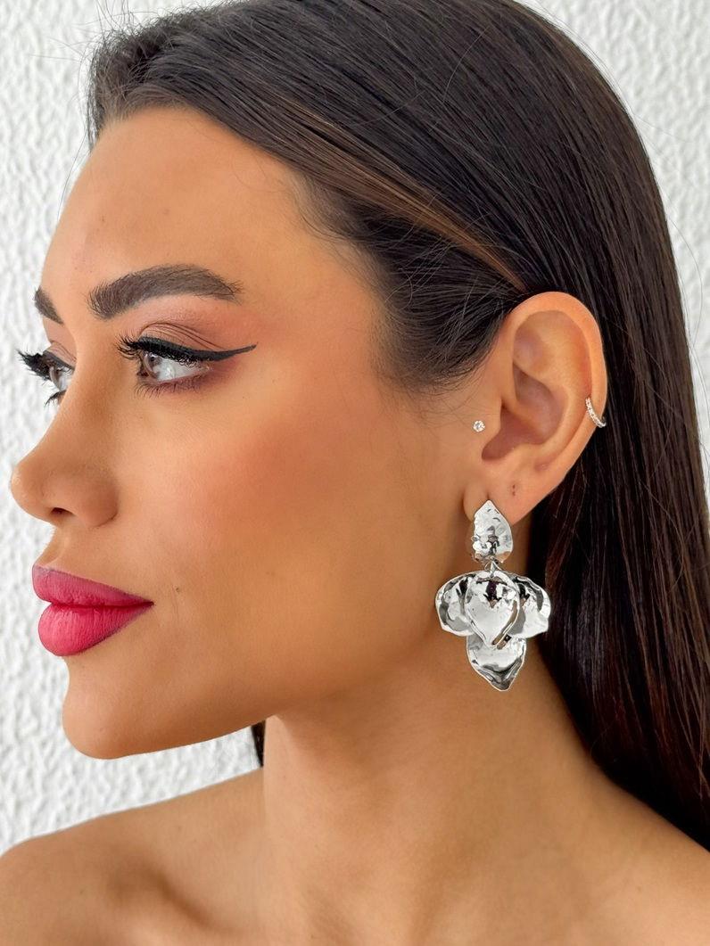 Aretes Pétalos Plata